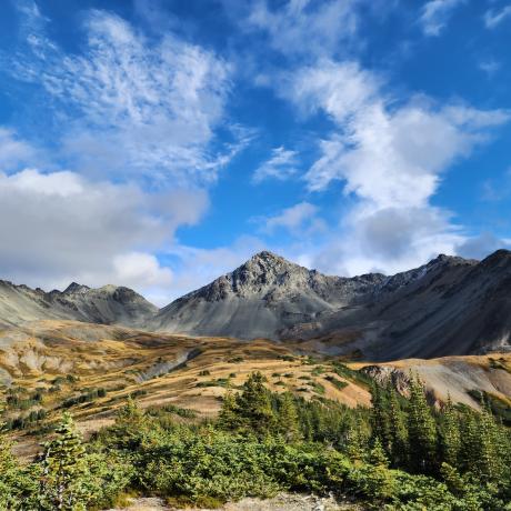 Mountain View along a Prospecting Traverse in Northwestern British Columbia