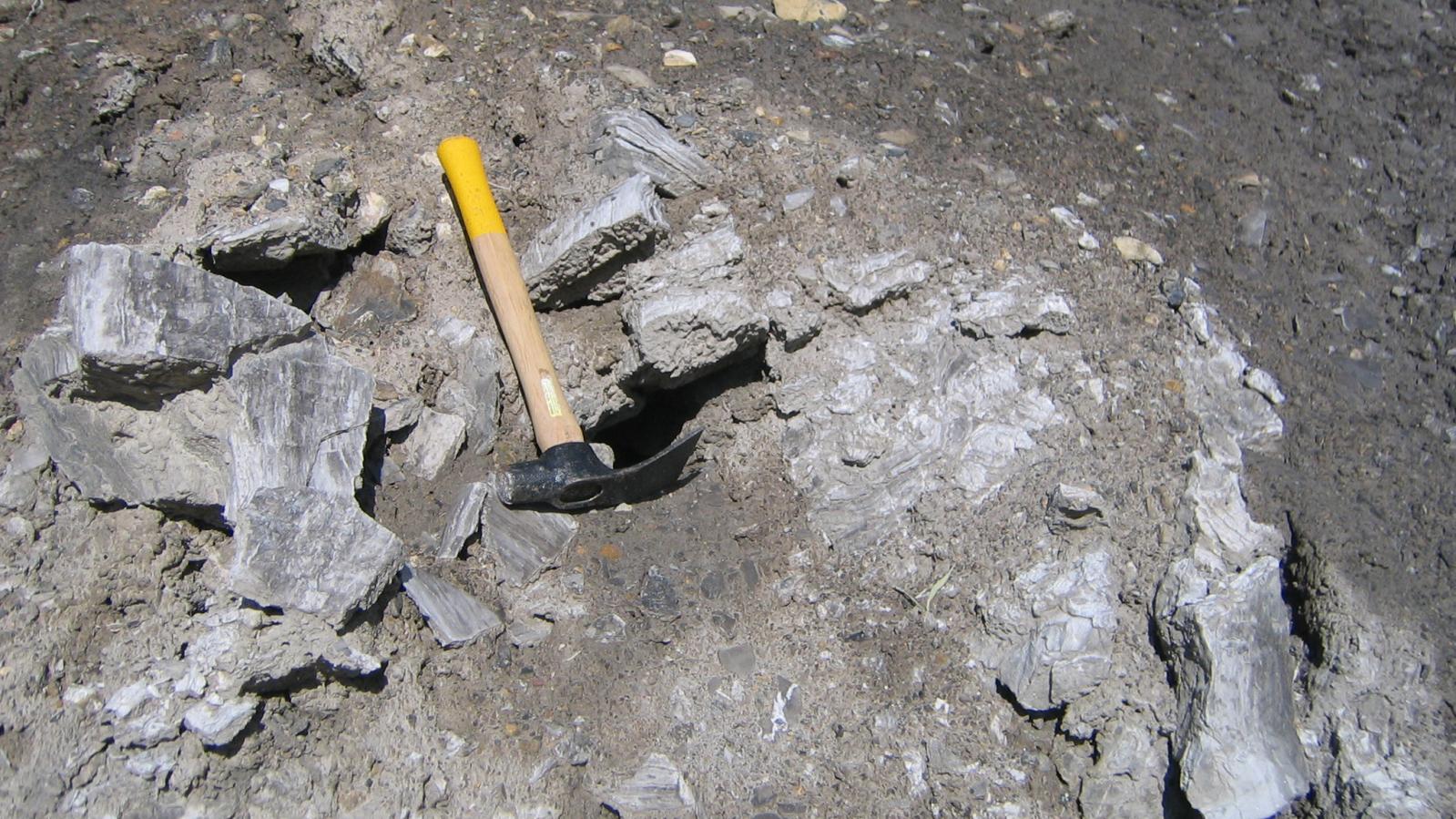 Gypsum mineralization at Coyote Creek Project in Southeastern British Columbia Gypsum mineralization at Eagle Plains Coyote Creek project in south east BC