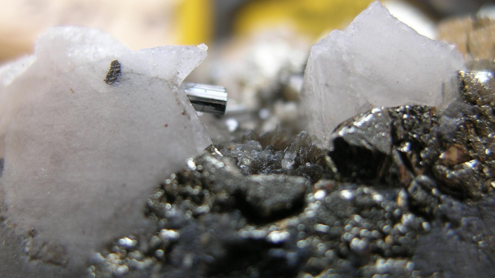 2009 Drill core mineralization from the Sphinx Molybdenum Project in Southeastern British Columbia