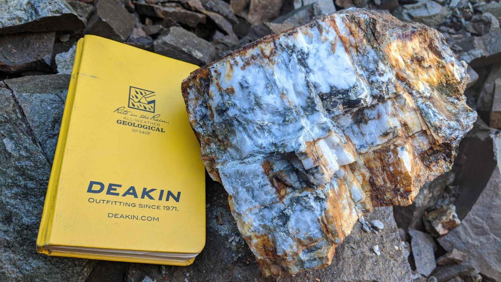 Donna Mineralized Rock Sample Donna Mineralized Rock Sample