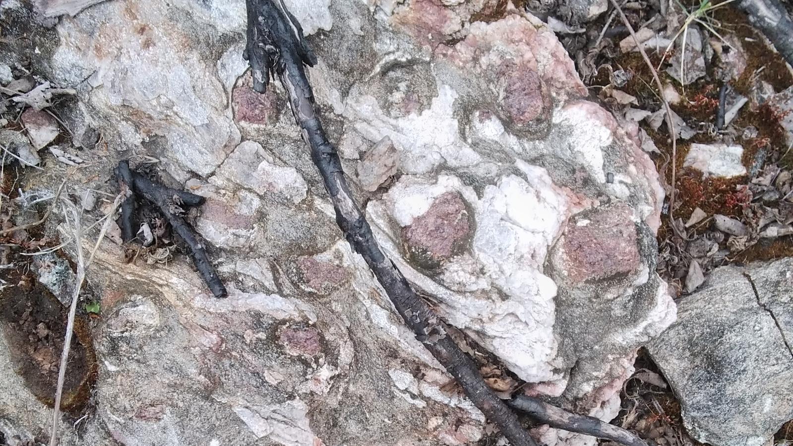 Schotts Lake Garnet Outcrop Schotts Lake Garnet Outcrop