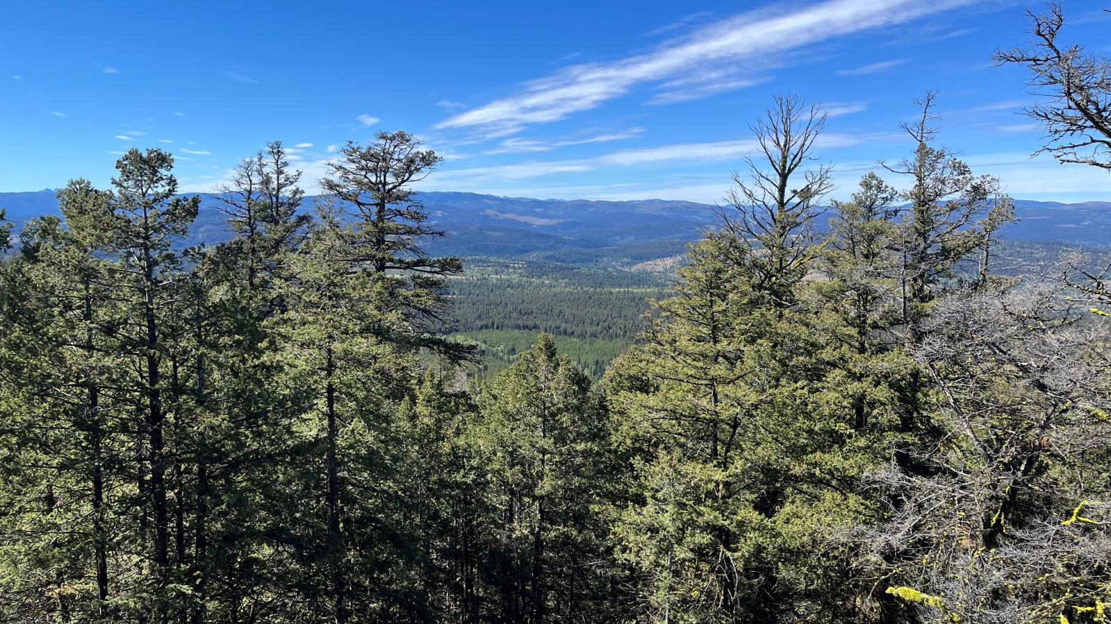 View from Ketch Project in Southern British Columbia