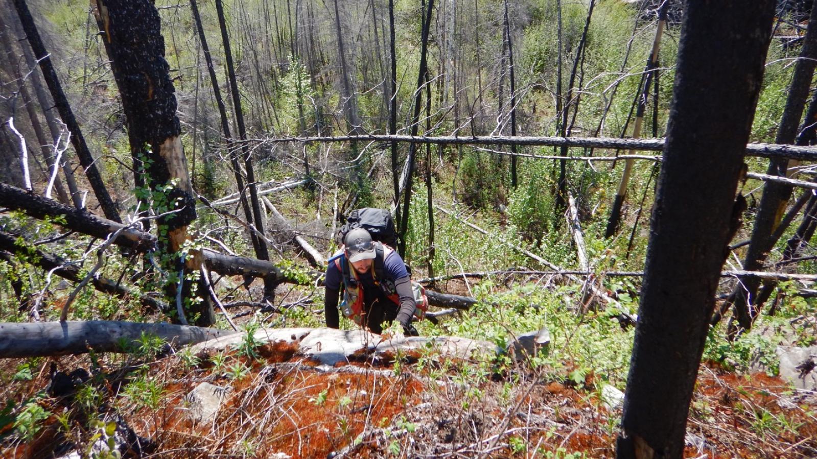 Prospecting for Uranium Mineralization in Northern Saskatchewan Prospecting for Uranium Mineralization in Northern Saskatchewan