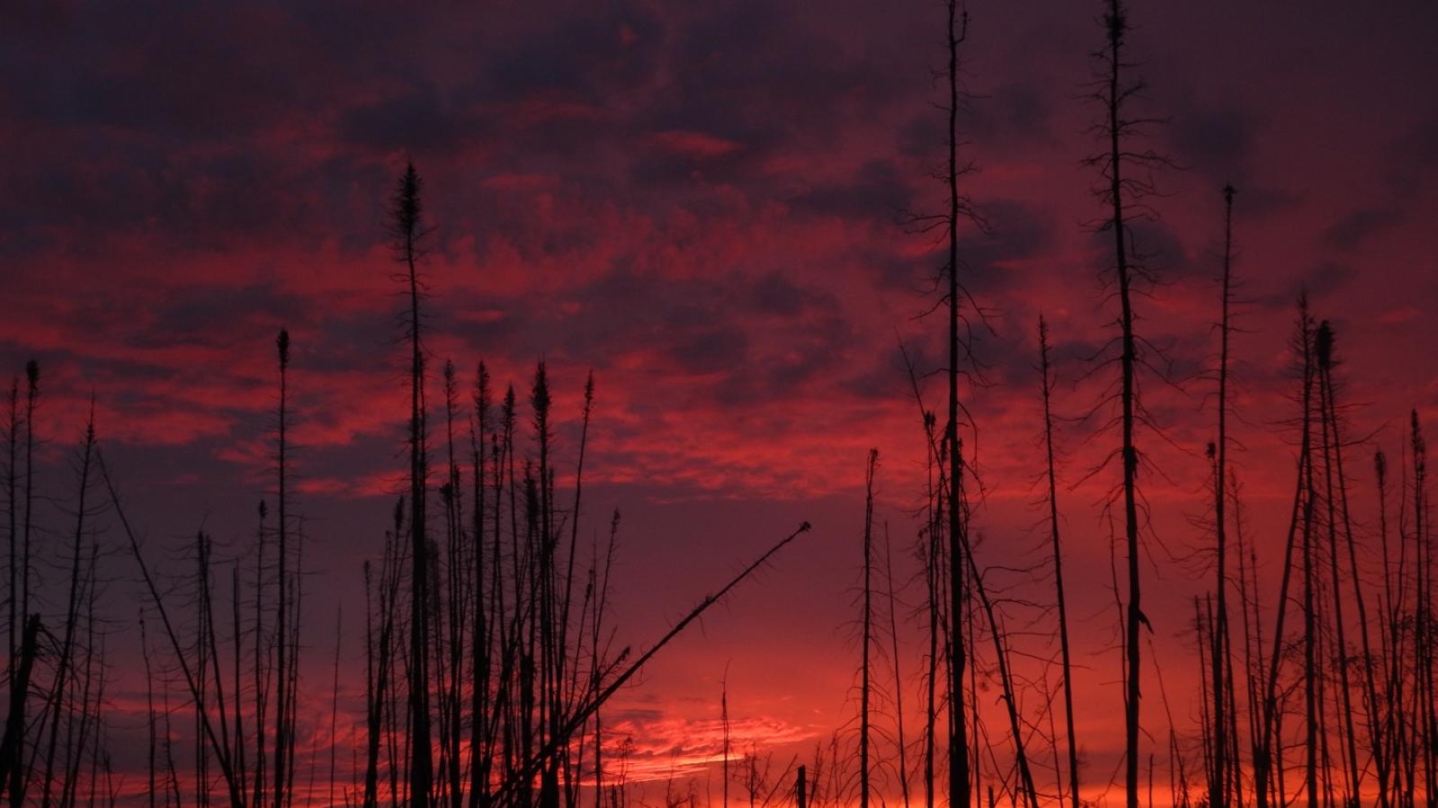Sunrise from an Exploration Camp in Saskatchewan 