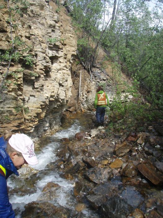Prospecting and Sampling 500m west of the Main Zone at the Dragon Lake Gold Project Yukon Territory