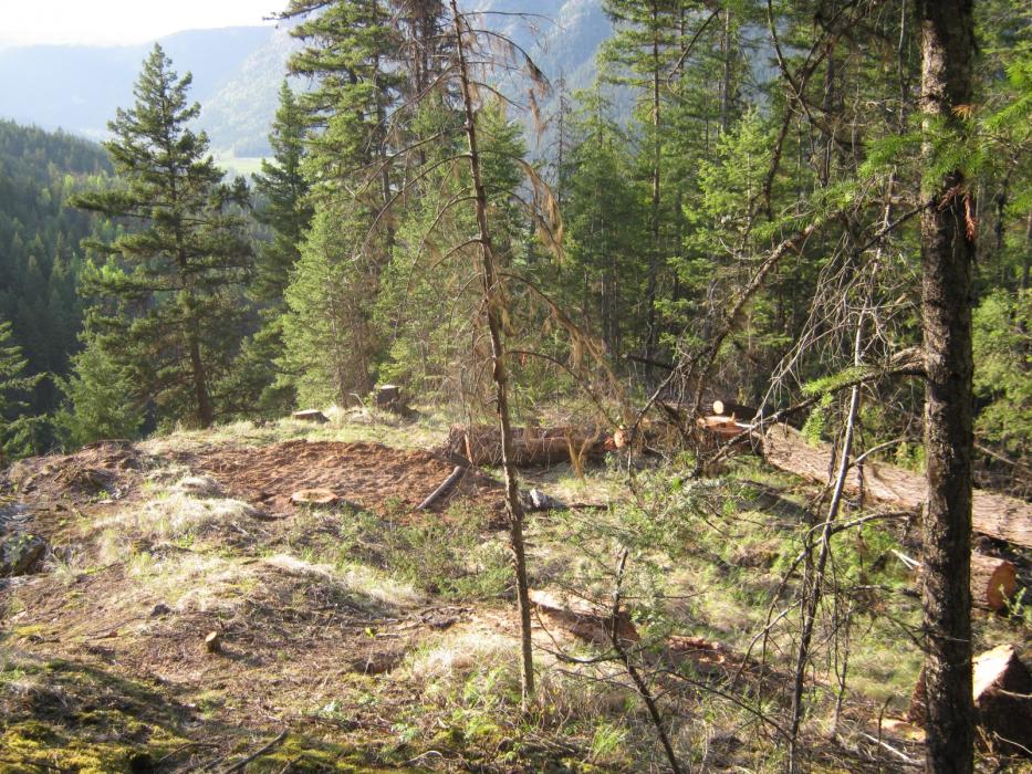 Acacia Zone - 2012 Drill pad pre drilling
