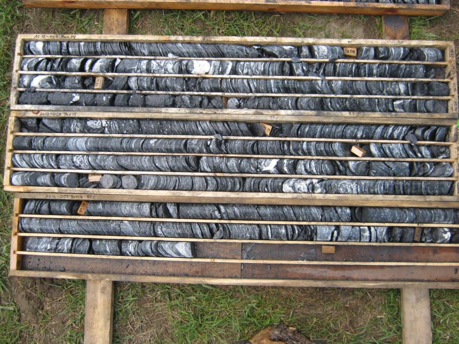 Argillite - Acacia Zone - 2012 Acacia drill core box