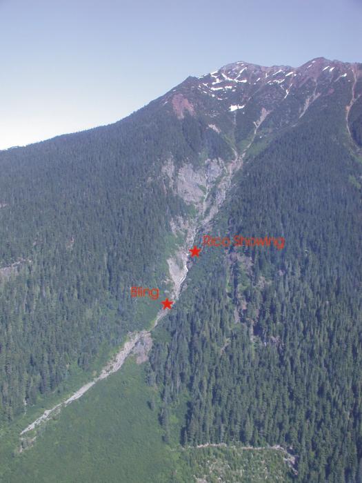 Bling - Rico Showings at the Kalum Project in Northwestern British Columbia