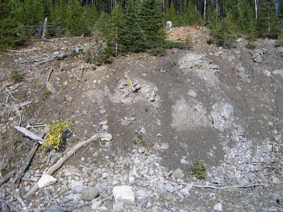 Coyote Creek Gypsum Deposit Outcrop