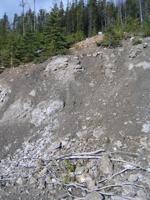 Coyote Creek Gypsum Deposit Occurrence
