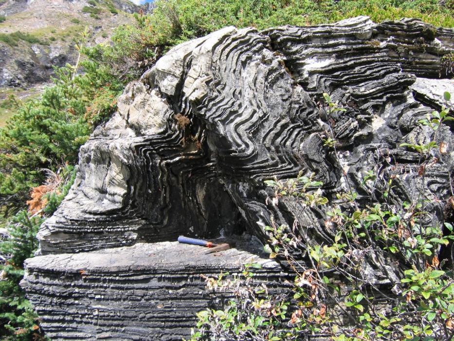 Deformed limestone at Waterloo showing area - Ice River Complex