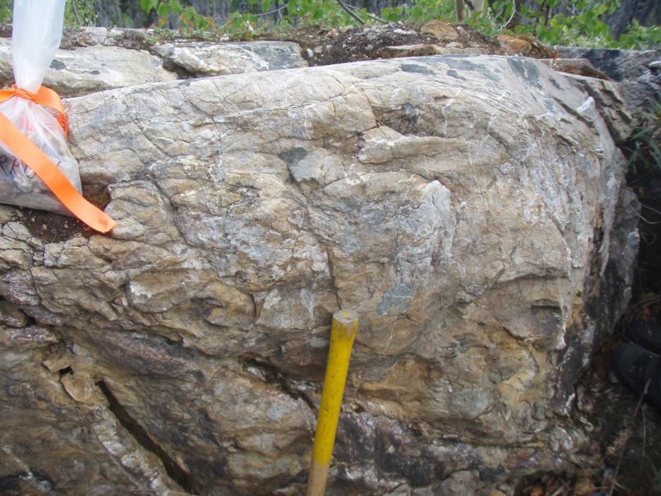 Dragon Lake Gold Project Exploration 2010 - Quartz veining within quartz pebble conglomerate