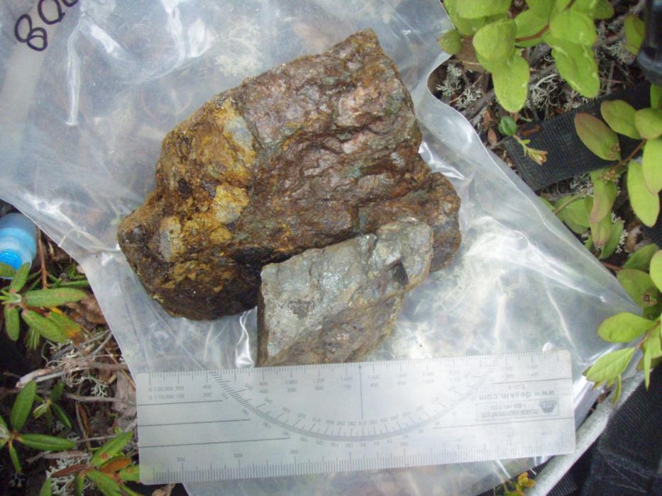 Dragon Lake Gold Project Main Zone Rock Sample - Skarn Au-Cu-Fe Dragon Lake Gold Project Main Zone Rock Sample - Skarn Au-Cu-Fe