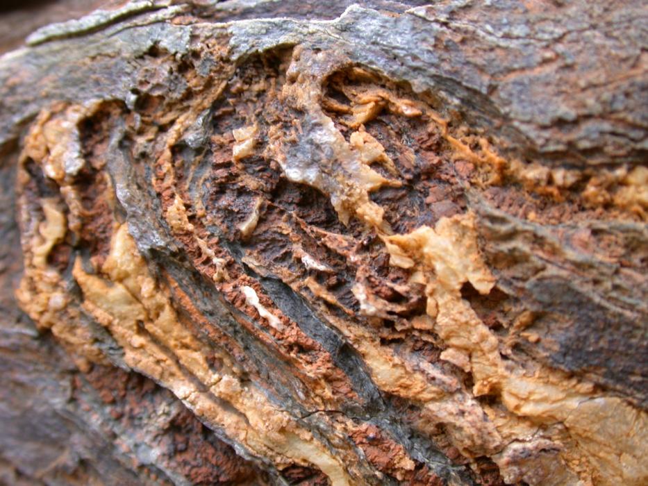Folded Mineralized and Silicified Volcanics at the Fire Claims - A Classic Alteration Assemblage Associated with VMS Deposits