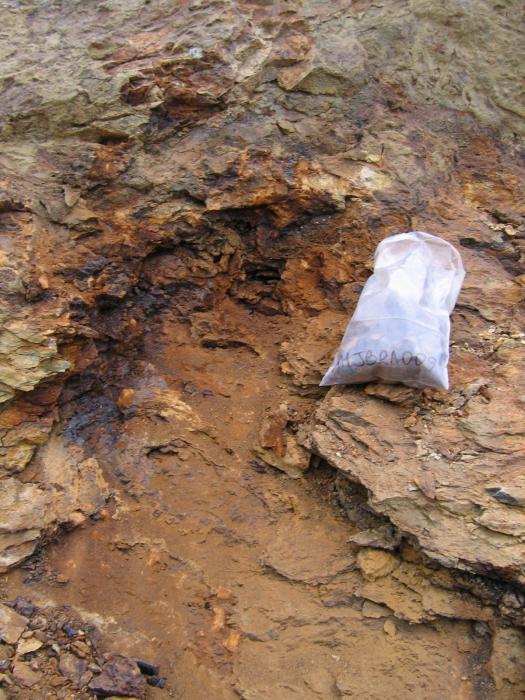 Grab Sampling Mineralized Volcanics at the Fire Claims of the Pelly Mountain Critical Minerals Exploration Project