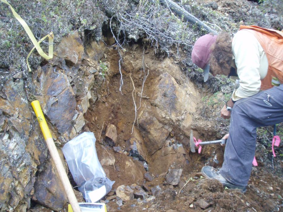 Main Zone - 2010 Rock sampling at Dragon Lake Gold Project Yukon