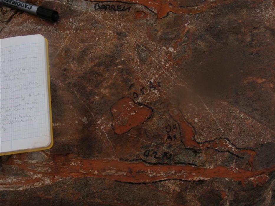 Mapping Arsenic Veins at the Cirque Zone of the Kalum Project in Northwestern British Columbia