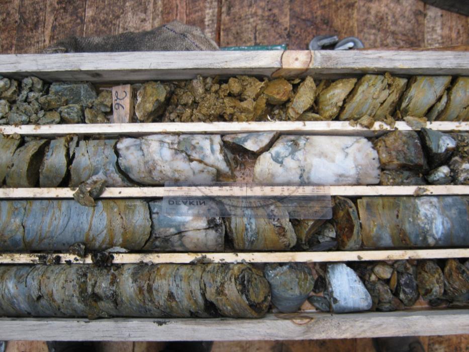 Mineralized Vein - Acacia Zone - 2012 Acacia drill core box