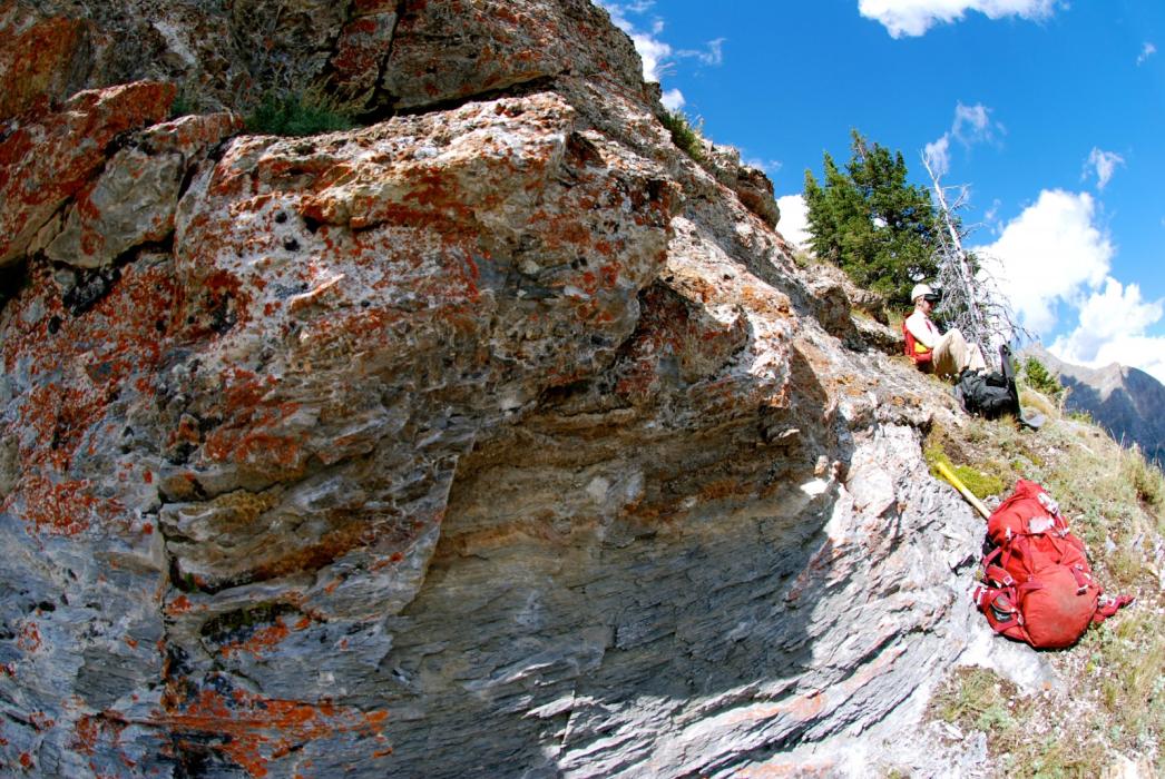 Rare Earth Element mineralization at the REE anomaly over a 1000x600m area at the Ice River Complex Project