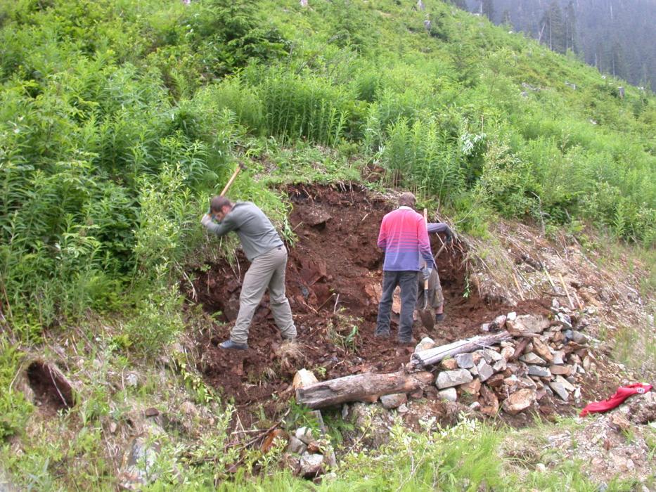 Exploraation Crew Trench Sampling at the Shae Zone of hte Elsiar (LCR) Project in Northwestern British Columbia
