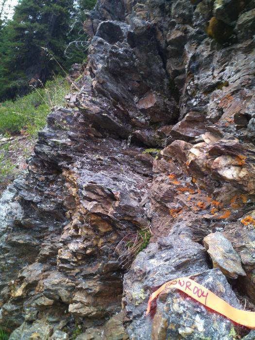 Sampling high-grade mineralization at the Snowstorm Project in 2024 Sampling high-grade mineralization at the Snowstorm Project in 2024