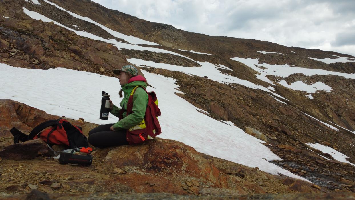 Exploration Geologist Sample in the Alpine at the Adamant Project 2022 Exploration Program