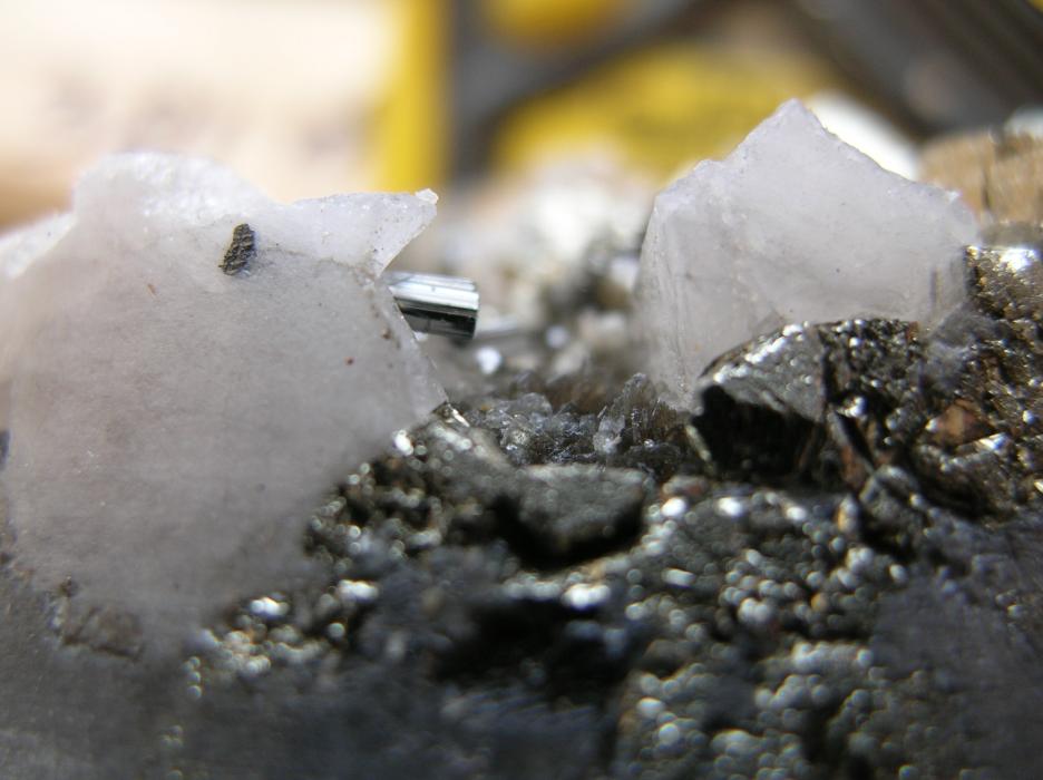 2009 Drill core mineralization from the Sphinx Molybdenum Project in Southeastern British Columbia