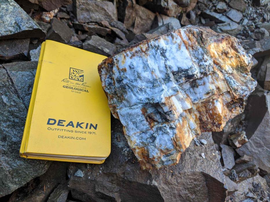 Donna Mineralized Rock Sample