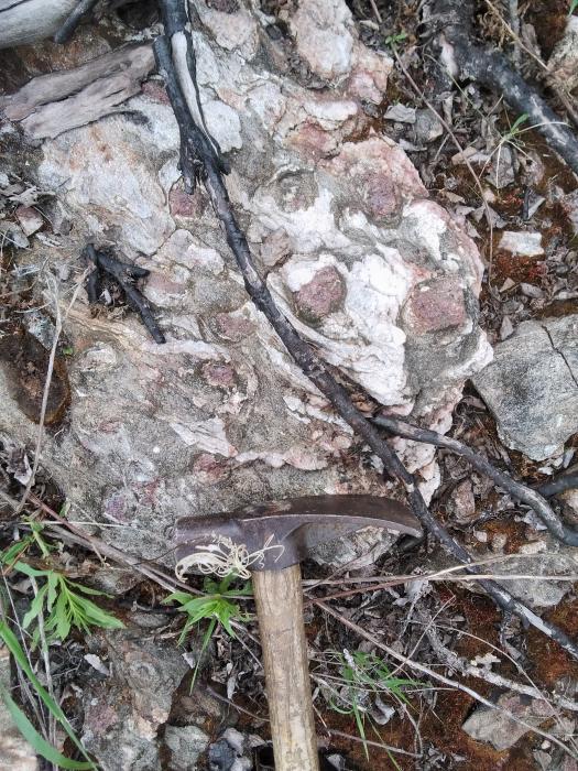 Schotts Lake Garnet Outcrop Schotts Lake Garnet Outcrop