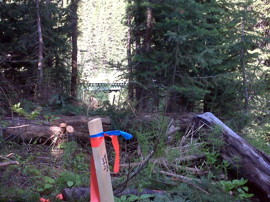 Exploration traverse line at the Sphinx Project located in Southeastern British Columbia