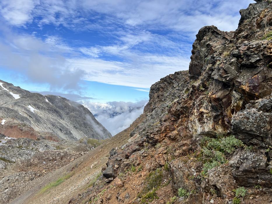 Pyrite-chalcopyrite mineralization