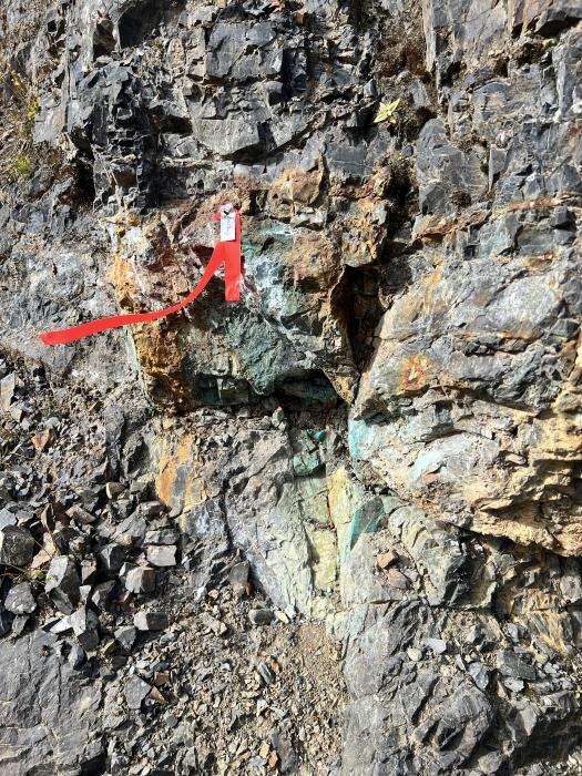 New outcrop exposed by Bulldog Glacier retreat (JCBLDR003)