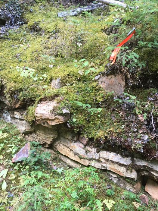 Large-Flake Graphite Mineralization in Outcrop at the Slocan Graphite Project Mineralized Outcrop ot the Slocan Large-Flake Graphite Project