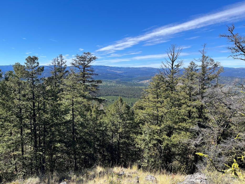 View from Ketch Project in Southern British Columbia