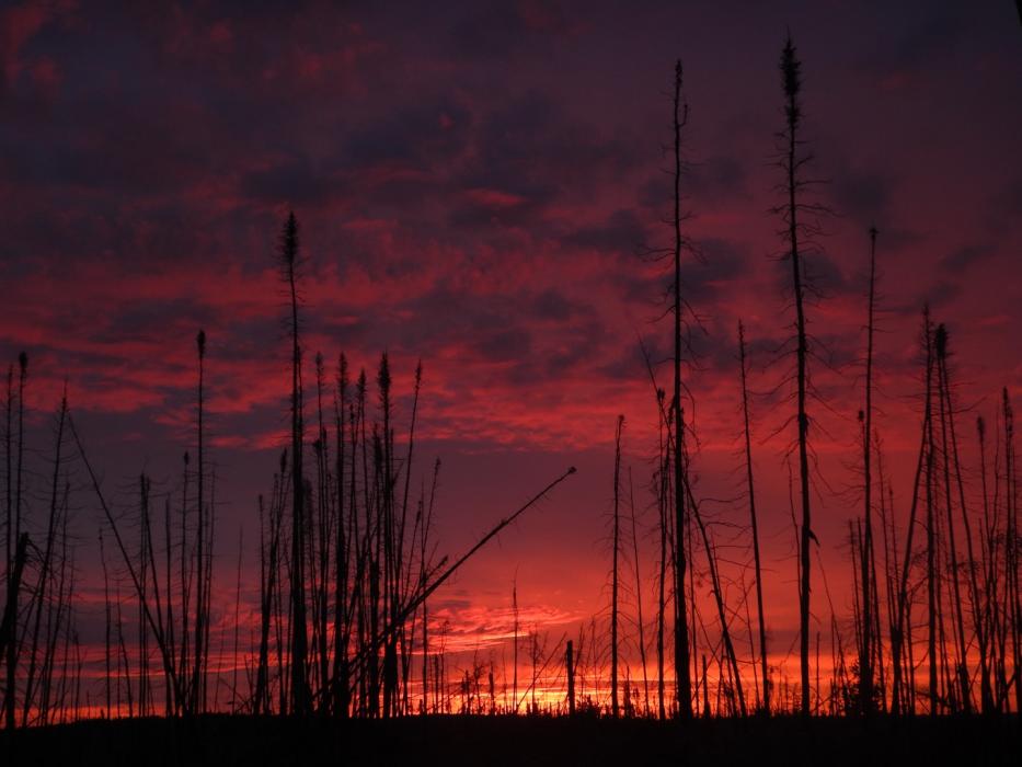 Sunrise from an Exploration Camp in Saskatchewan 