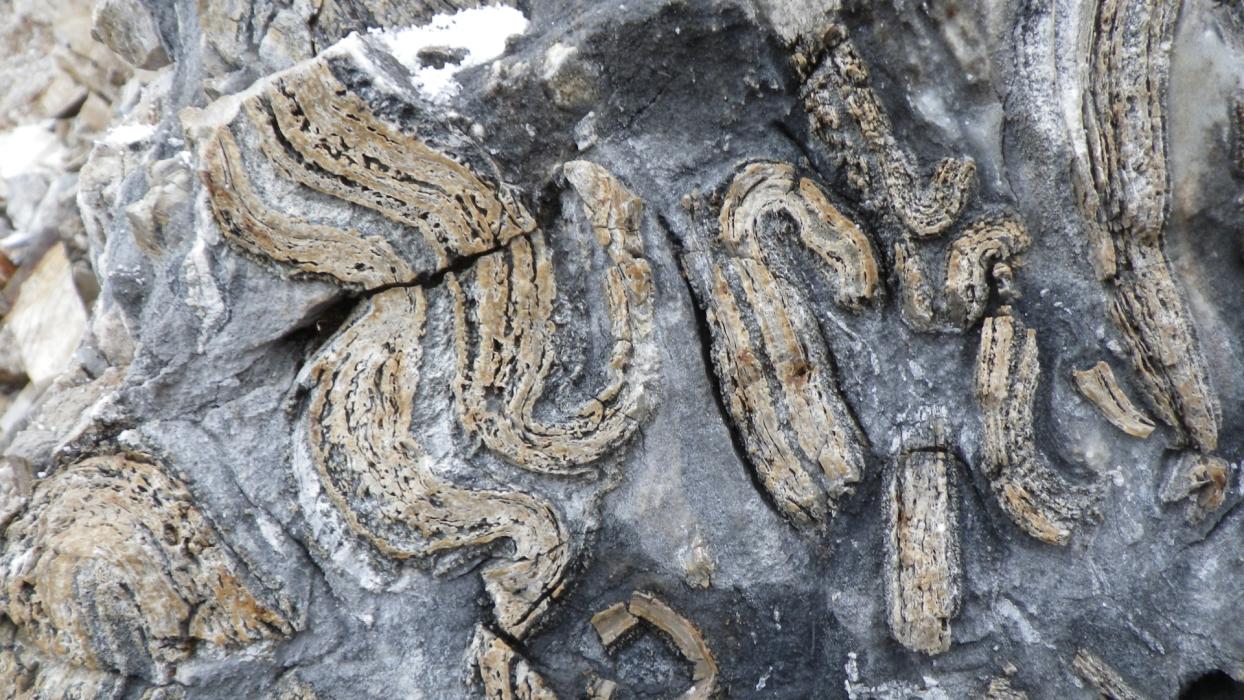 Eagle Plains Flagship Royalties Severely folded rocks