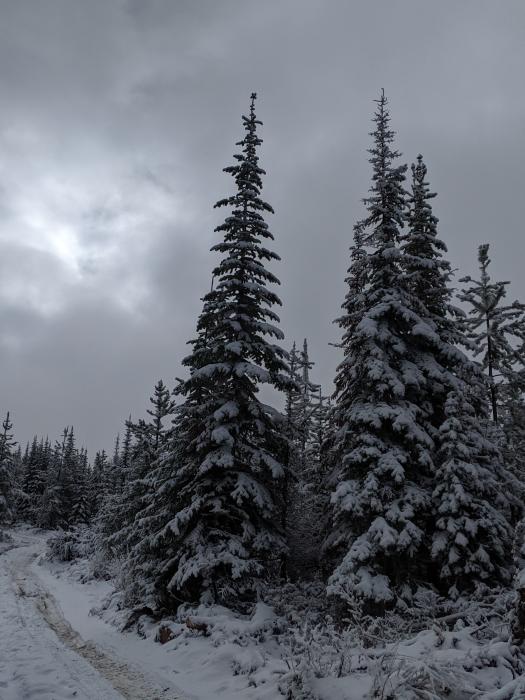 Winter Road near Donna Property 2019