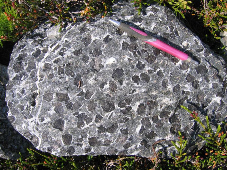 porphyrytic mafic intrusive phase of the IRC - ijolite
